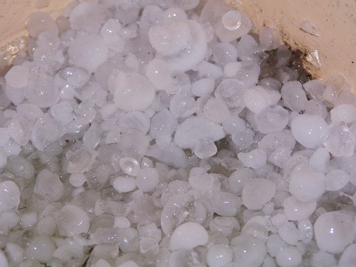 Hailstones, 2 centimeters in diameter, fell in the Central Highlands’ Kon Tum Province on April 5 along with heavy rain. (Photo:Tuoi tre) Hailstones, 2 centimeters in diameter, fell in the Central Highlands’ Kon Tum Province on April 5 along with heavy rain. (Photo:Tuoi tre)
